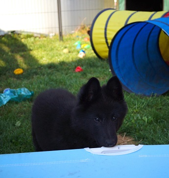 Erendira De Geracao Nova